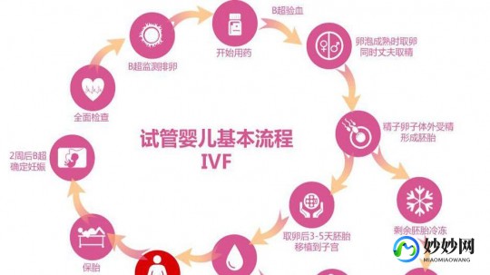 苏州试管助孕流程多少钱 苏州做试管助孕多少钱