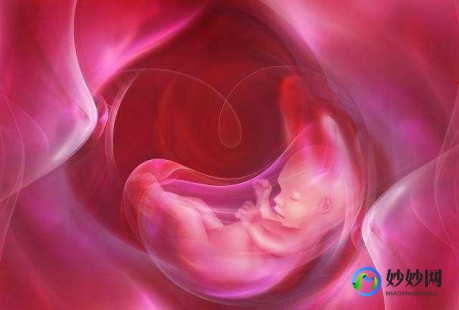 试管不成功要坚持吗女性—试管不成功还要促排吗
