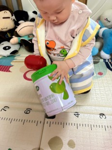 飞鹤秦稚奶粉怎么样;飞鹤奶粉臻稚系列怎么样