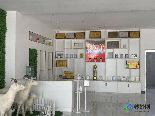 利川羊奶粉专卖店羊启家羊奶粉利川专卖店