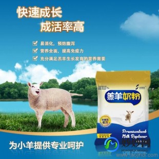 喂小羊的羊驼奶粉怎么样—怎么喂小羊奶粉