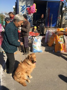 今天网页怎么都是黑色,淘宝界面突变黑色,原因及解决方法揭秘