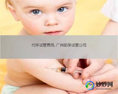 中山全国试管助孕公司、广州试管助孕中心