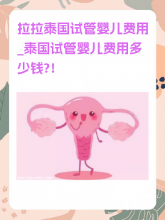 拉拉在美国试管婴儿_拉拉泰国试管婴儿