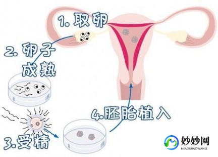 弱精能做婴儿试管么_弱精可以做试管婴儿吗