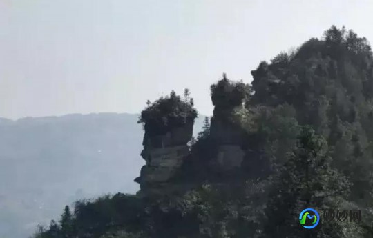 大头妹美妙人生,大头妹的房间,大头妹的房间手游深度玩法与攻略指南