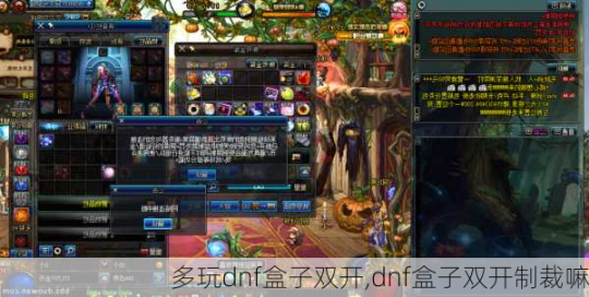 多玩dnf盒子,DNF多玩盒子双开攻略,轻松实现游戏双账号并行