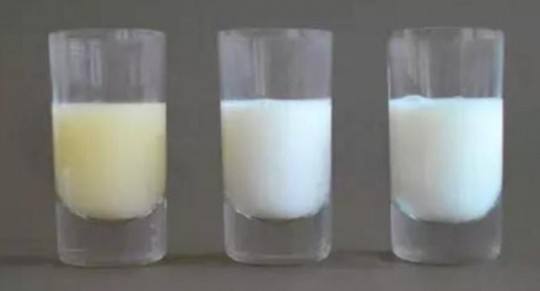 奶粉和生牛奶显微镜对比_显微镜看奶粉和牛奶对比