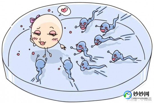 男子弱精二代试管技术 男子严重弱精还能做二代试管吗