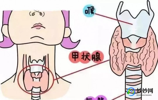 甲状腺癌多年不育怎么办(女性甲状腺癌30多岁怎么办)