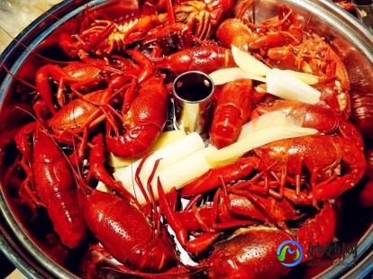 夜宵霸主小龙虾的心脏,小龙虾心脏长在什么位置,揭秘小龙虾的心脏之谜,它究竟藏身