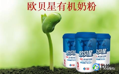 茗星有机奶粉怎么样欧贝星有机奶粉怎么样