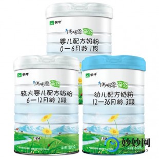 瑞普嗯亲悠奶粉怎么样,瑞哺恩亲悠一段奶粉怎么样