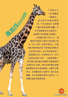 哪种动物高血压,那种动物天生高血压,揭秘,哪种动物竟天生高血压？探秘神秘