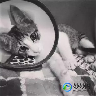 猫咪新区9uu有你有我足矣!,9uu有你有我足矣最新登陆,9uu推出全新登陆功能,游戏体验再