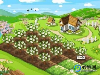 玩酷农场360,360农场打造你的专属农场,享受丰收的喜悦!