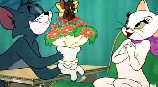 汤姆的情书,汤姆猫的情书攻略,赢得猫咪芳心的秘诀