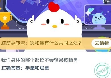 白肉蚂蚁庄园,蚂蚁庄园手游攻略,探索肉类奥秘,打造繁荣庄园