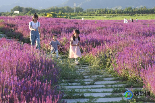 梦幻西游2是什么,梦幻西游2收费吗,梦幻西游2收费模式详解及手游玩法攻略