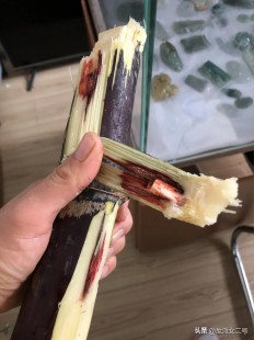 清明蔗毒过蛇真正原因,清明蔗毒过蛇真正原因,揭秘清明蔗毒过蛇背后的真相与手游