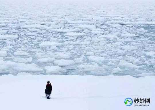 雪地逃亡,雪地大逃亡最新版下载_雪地大逃亡安卓版下载