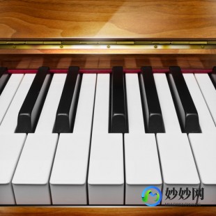 黑白键宽度一样吗,揭秘钢琴键盘,黑白键的宽度之谜