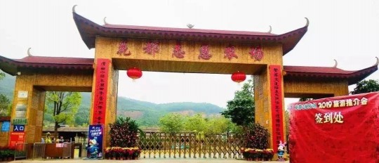 qq农场玩家,QQ农场游戏攻略,玩转农场,收获满满乐趣!