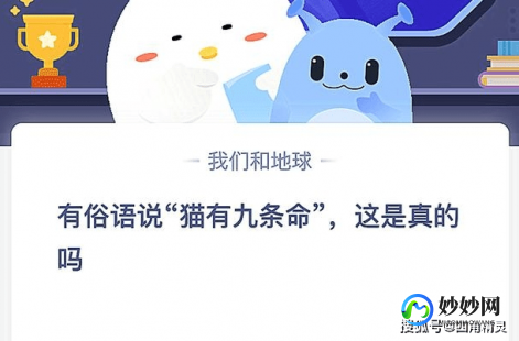 有俗语说猫有九条命蚂蚁庄园,猫有九条命真的吗蚂蚁庄园,猫有九条命？蚂蚁庄园揭秘真相!