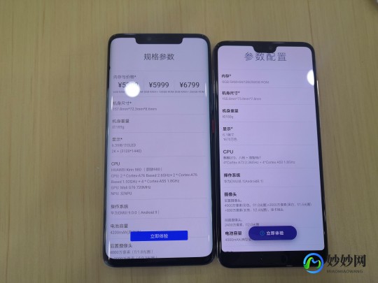 麒麟菜种在哪里,麒麟菜种在海里还是土里,深海奥秘,麒麟菜种植全攻略