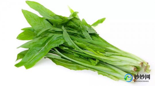 油麦菜和谁是亲戚,揭秘油麦菜的亲戚蔬菜