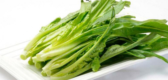 油麦菜和谁是亲戚,揭秘油麦菜的亲戚蔬菜