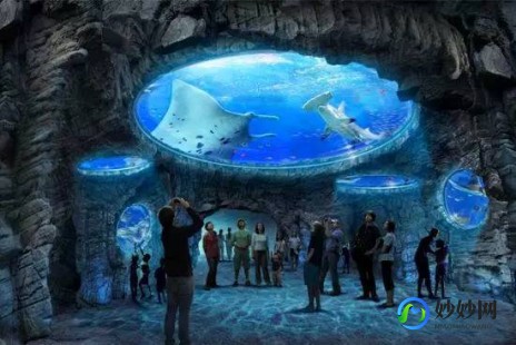 海洋公园跑法,海洋公园跑酷秘籍掌握这些跑法,轻松征服赛道!