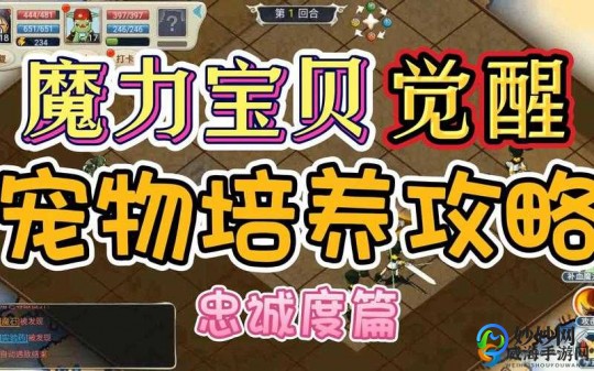 魔力学堂攻略,魔力学堂宠物,魔力学堂手游宠物系统深度解析与养成攻略