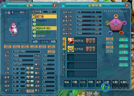 魔力学堂攻略,魔力学堂宠物,魔力学堂手游宠物系统深度解析与养成攻略