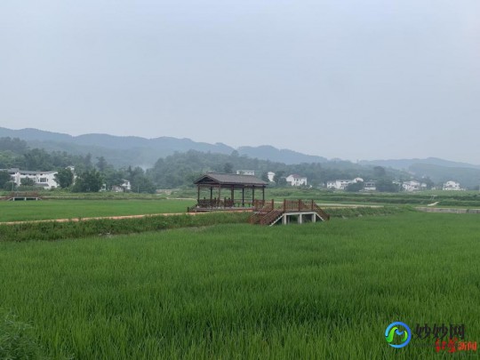 qq农牧餐三合一,农牧结合,自给自足
