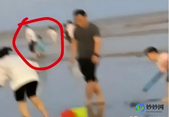 神秘视线5下载,神秘视线5全攻略,解谜探险,揭开真相的面纱!