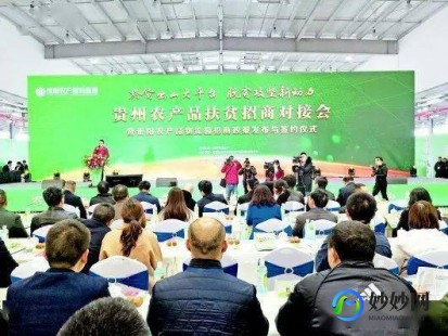 贵州扶贫云,贵州扶贫云助力脱贫攻坚战