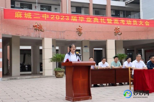 车猫虫证书打一成语,车猫证书猜成语,车猫证书猜成语手游攻略,一路驰骋,智解成