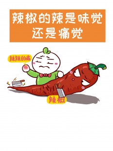 辣椒会引起痛觉吗蚂蚁庄园,辣椒会引起痛觉吗？蚂蚁庄园里的奇妙探索