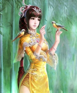 英雄杀朱雀之章人物,英雄杀朱雀之章,英雄杀,朱雀之章全新攻略,探索历史的英雄