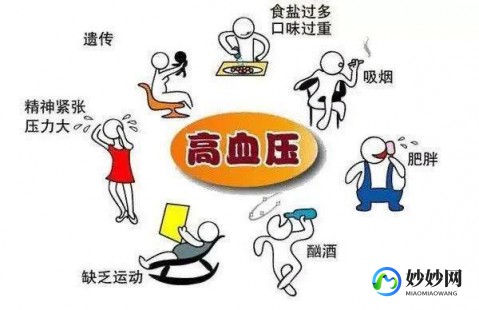 以下哪种动物天生就是高血压,那种动物天生高血压,揭秘,哪种动物竟天生高血压？探秘神秘