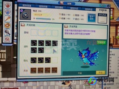 彩虹岛灵宠有什么用,彩虹岛灵宠怎么升级,彩虹岛灵宠升级攻略,打造你的强大战斗