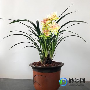 桃园游戏下载,桃园新手卡怎么用,桃园新手卡使用指南,助力新手玩家快速起