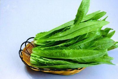 油麦菜和哪种蔬菜是亲戚,揭秘油麦菜的亲戚蔬菜