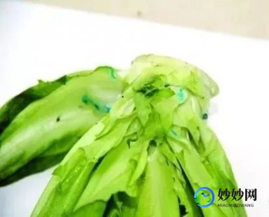 油麦菜和哪种蔬菜是亲戚,揭秘油麦菜的亲戚蔬菜