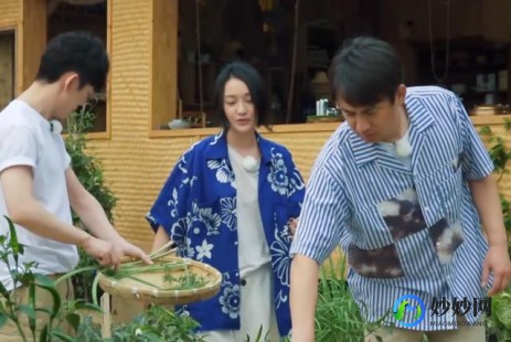 捏橘子小游戏,捏橘子小游戏,轻松解压,乐趣无穷