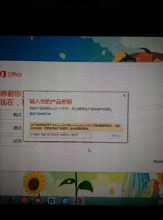 office2013激活密钥,office2013密钥,Office 2013密钥及手游攻略,提升你的办公