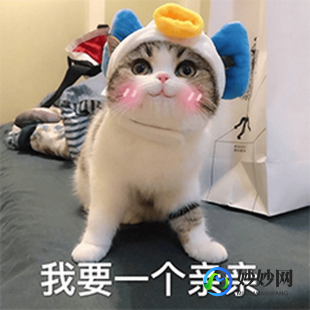 亲亲抱抱蹭蹭,亲亲抱抱蹭蹭的刺激原声哔哩哔哩,手游梦幻仙境深度玩法与
