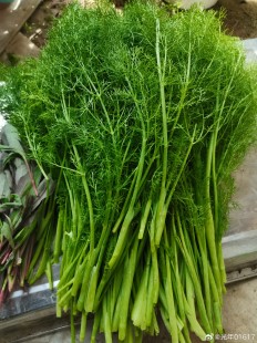 茴香和生菜哪个含盐量高,茴香和生菜哪个含盐量高,揭秘茴香与生菜含盐之谜,带你探索