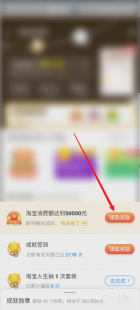 淘宝人生成就,淘宝成就系统详解,如何查看与提升你的淘宝成就